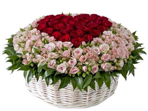 150 Roses in a basket
