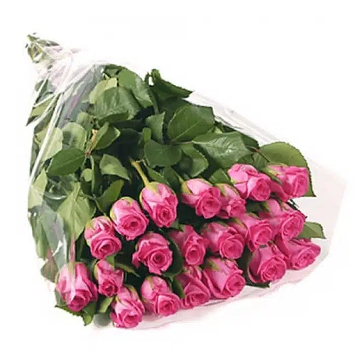 20 Long Stem Ecuadorian Pink Roses