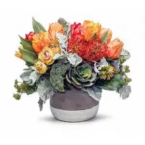 Mixed Arrangement in Pot