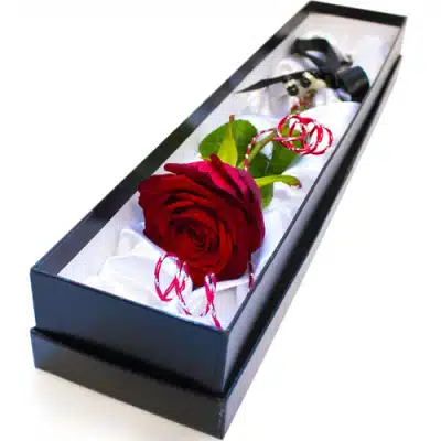 Single Ecuadorian Roses in Box