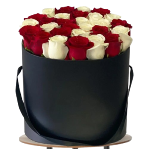 24 Dual Color Roses in Box