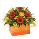 Mixed flower collection