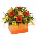 Mixed flower collection