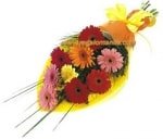 Mixed Colored Gerberas