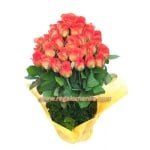 Orange Roses