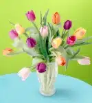 Valentines Tulip Collection