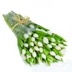White Tulips