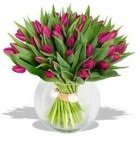 Purple Valentines