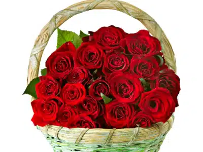 Love Basket