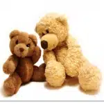 Wonderful Teddy Bear