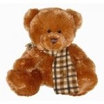 Honey Cute Bear