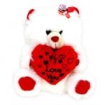 White Teddy Love