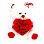 White Teddy Love