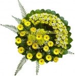 Circle of Sunshine