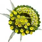 Circle of Sunshine