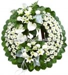 Sentiments of Serenity Spray