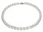 Quality Freshwater Pearl Necklace