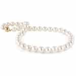 Freshwater Pearl Necklace