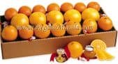 Sweet Harvest Fruit Gift