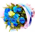 Bluebelles