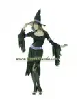 Glamour Witch Costume
