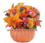 Pretty Pumpkin Petals
