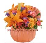 Pretty Pumpkin Petals