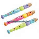 Flute Toy Set