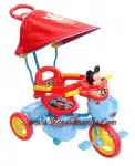 2-in-1 Trike with Shade, red