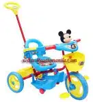 2-in-1 Trike