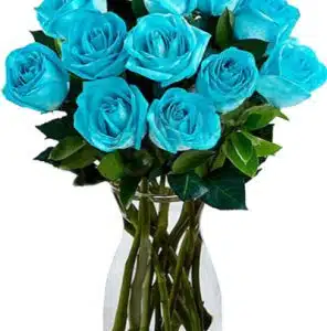 Blue Rose in a Vase