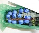 Love Blue Roses