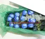 Love Blue Roses