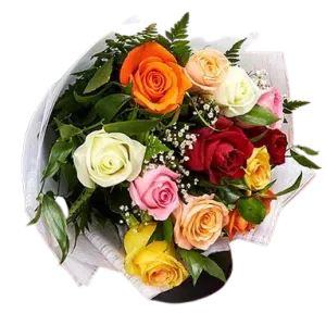 Romance Roses
