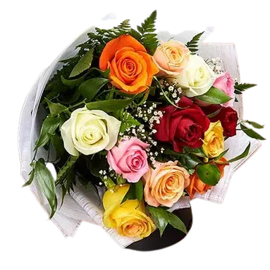 Romance Roses