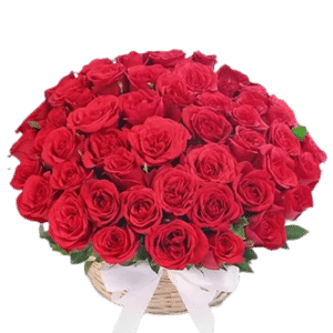 5 Dozen Red Roses in Basket