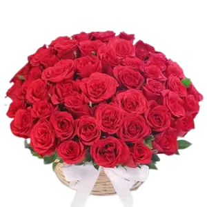 5 Dozen Red Roses in Basket