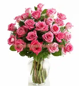 2 Dozen Long Stem Pink Roses