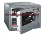 Sentry Electronic Personal Safe