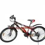 Tobys Evolution Sports Bike