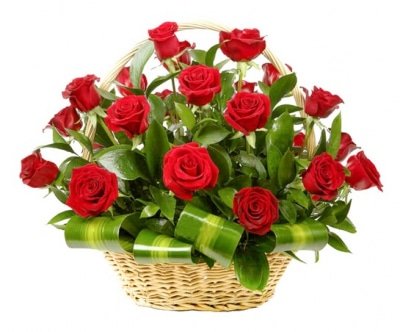 Found Love in a Basket