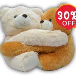 Hugging Bears