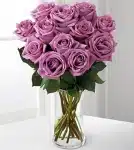 Lavender Rose