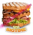 The Sandwich Guy Bigtime