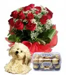 combogifts_9
