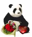 Combogifts_10