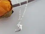 Thin Dolphin