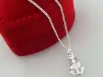 ANKH with Heart