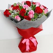 Multicolor Rose