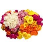 Very Showy